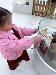 -Moni星球萌宠·小马宝莉·灵蛇·高端高阶全萌宠互动体验俱乐部(红豆国际广场店)