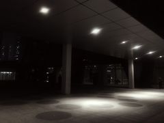 失落的花园-中央广播电视总台(光华路办公区)