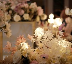 -曼格纳婚礼艺术中心(张江店)