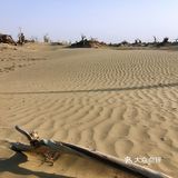塔里木沙漠公路