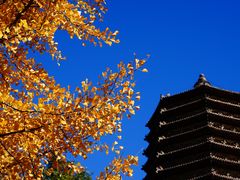 -玲珑塔公园