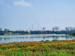 -海珠湖公园