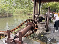 -溱湖国家湿地公园