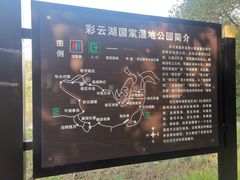 -重庆彩云湖湿地公园