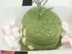 -狐狸和向日葵(北京路店)