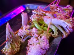 -西街夜油条·麻团包乌饭