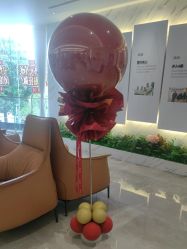 -深圳米兰柏羽医疗美容医院