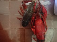 -重振华中蔬菜批发市场(重庆中路店)