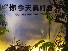 -云里小坐·小院里·团建·宴请·下午茶(三圣乡店)