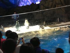 -香港海洋公园