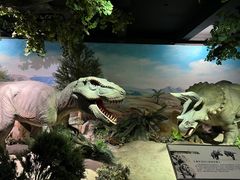 -国家自然博物馆