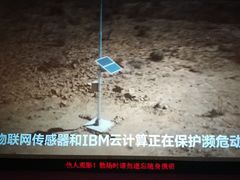 -UME影城(安贞DTS:X店)