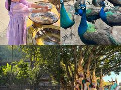 -西双版纳勐泐文化旅游区