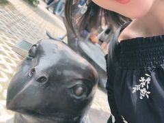 -广东惠东海龟国家级自然保护区