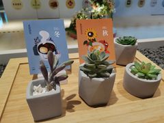 -炖物24章·顺时轻养茶(黄龙店)