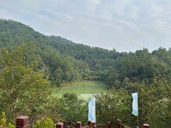 -广州白江湖森林公园