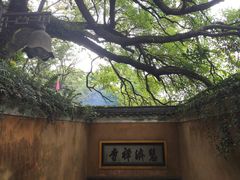 -普陀山慧济禅寺