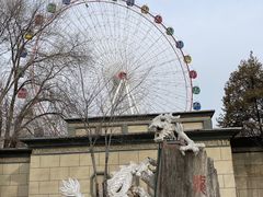 -青城公园