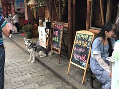 -飘香酒馆·私房菜