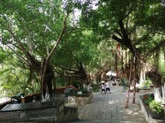 -胡里山炮台