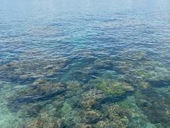 -三亚西岛海洋文化旅游区