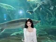 -华夏文旅海洋公园