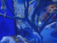 -多彩贵州城极地海洋世界