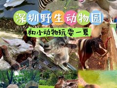 -深圳野生动物园