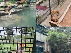-深圳野生动物园