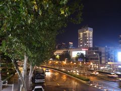 -循礼门鲜花花市(武汉循礼门店)