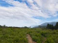 -阳台山自然风景区