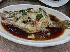 -山东国际饭店·三义和(解放路店)
