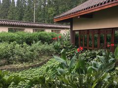 -青城山六善酒店·紫氣園中餐厅