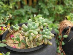 -瓦库茶馆17号(海汇港店)