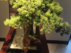 -顺峰(农展馆店)