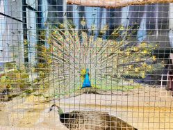 -酷嗒动物文化乐园(cutezoo西溪乐天城店)