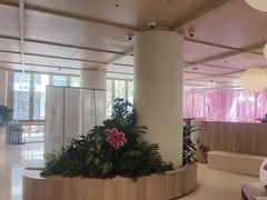 -观心实验室·心理咨询(上海旗舰店)