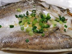 -石岐乳鸽村(南海第三分店)