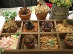 -恋暖初茶(万菱汇店)