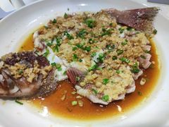 东星斑-船家渔(徐州北路店)