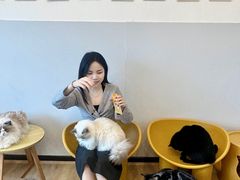 -有喵·猫咖·狗咖·40+猫狗有小奶狗(岗厦店)