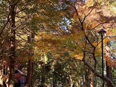 -井之头恩赐公园