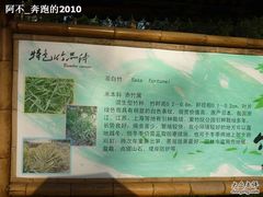 -紫竹院公园冰场