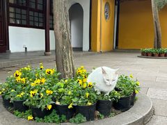 -西园戒幢律寺
