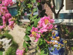 -漫渡庄绿岛花园•隐世庭园菜(滨湖店)