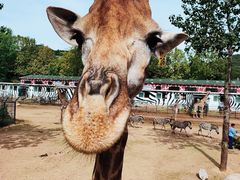 -大连森林动物园