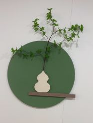 -北京京通医院医疗美容