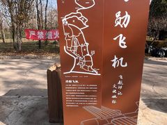 -云岗森林公园