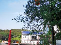 -东湖食堂·湖景餐厅•会议