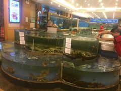 -大东方海鲜酒楼(小武基桥店)